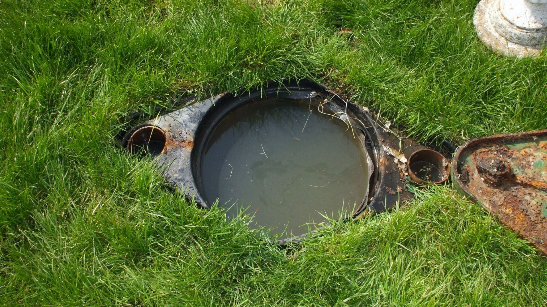 Clogged Septic Tank ()
